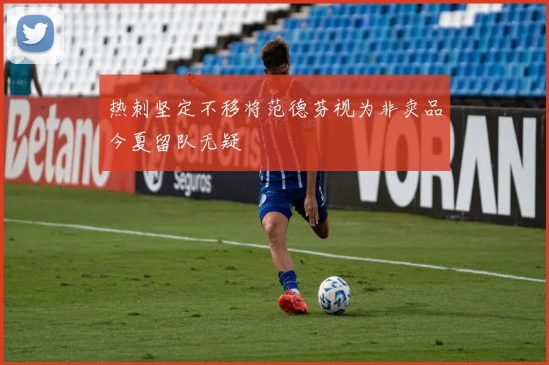 热刺坚定不移将范德芬视为非卖品今夏留队无疑