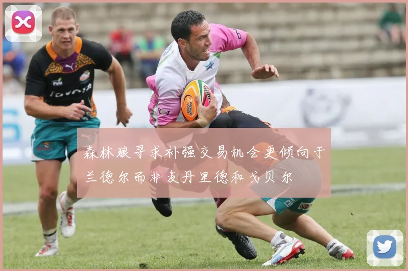 森林狼寻求补强交易机会更倾向于兰德尔而非麦丹里德和戈贝尔