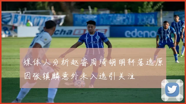 媒体人分析赵睿周琦胡明轩落选原因张镇麟意外未入选引关注
