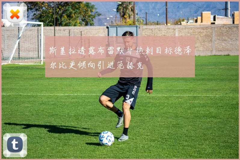 斯基拉透露布雷默非热刺目标德泽尔比更倾向引进范赫克